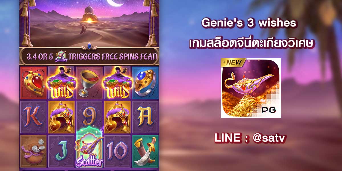 Genie's 3 wishes
